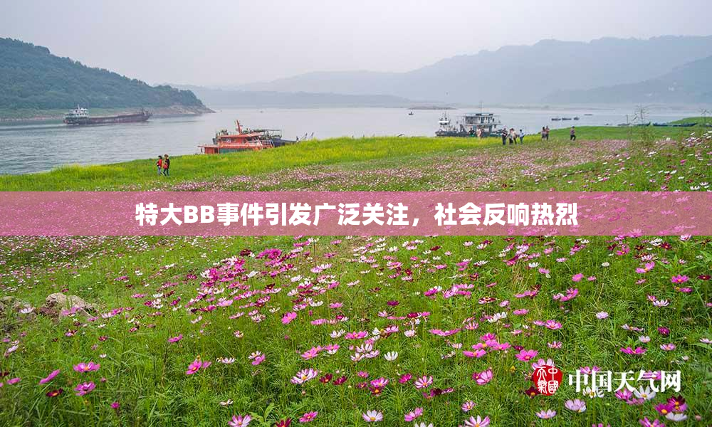 特大BB事件引发广泛关注，社会反响热烈