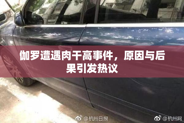 伽罗遭遇肉干高事件，原因与后果引发热议