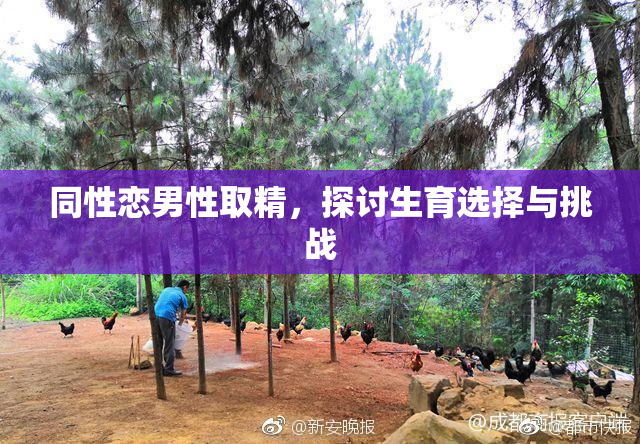 同性恋男性取精，探讨生育选择与挑战