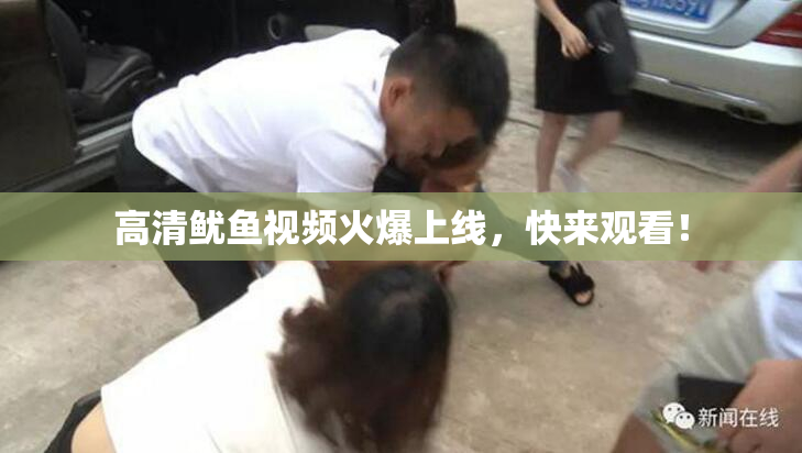 高清鱿鱼视频火爆上线，快来观看！