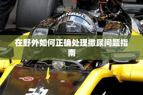 在野外如何正确处理撒尿问题指南