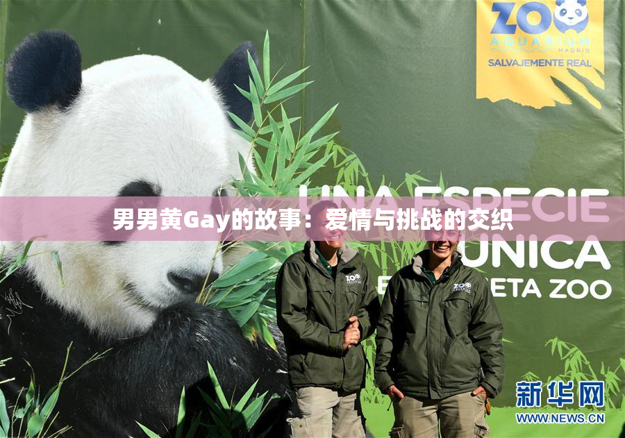 男男黄Gay的故事：爱情与挑战的交织