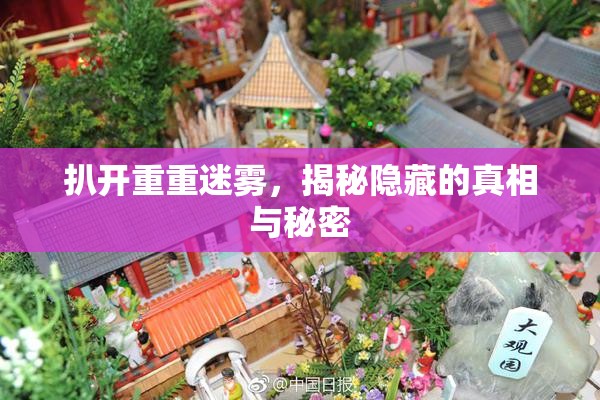 扒开重重迷雾，揭秘隐藏的真相与秘密