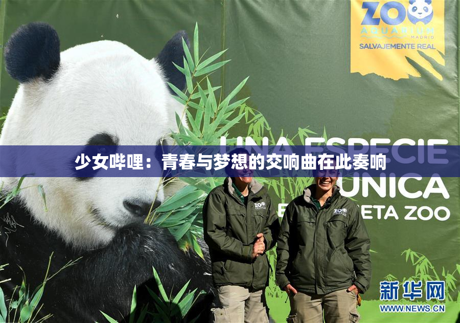 少女哔哩：青春与梦想的交响曲在此奏响