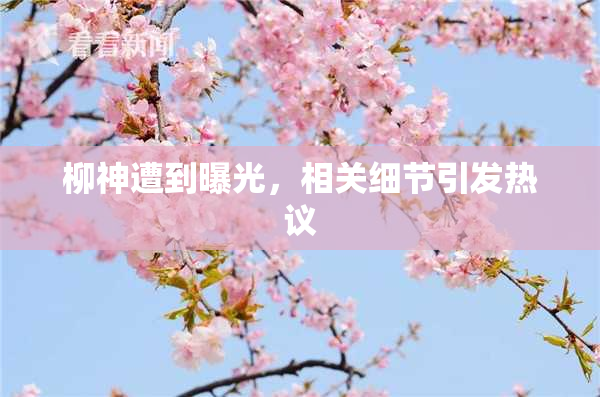 柳神遭到曝光，相关细节引发热议