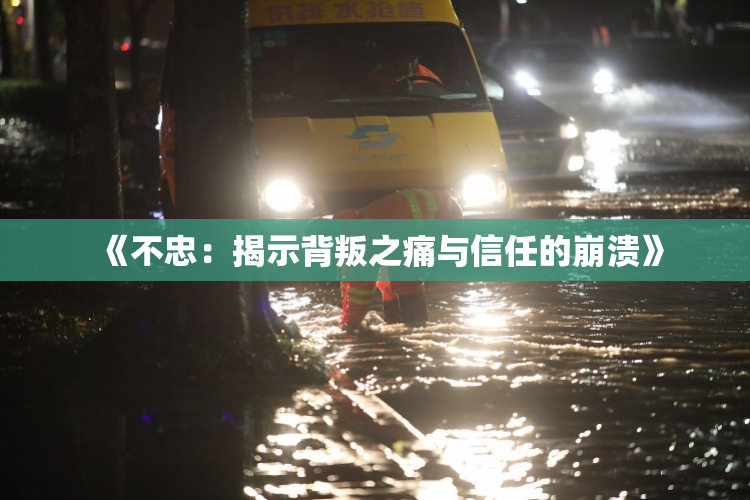 《不忠：揭示背叛之痛与信任的崩溃》