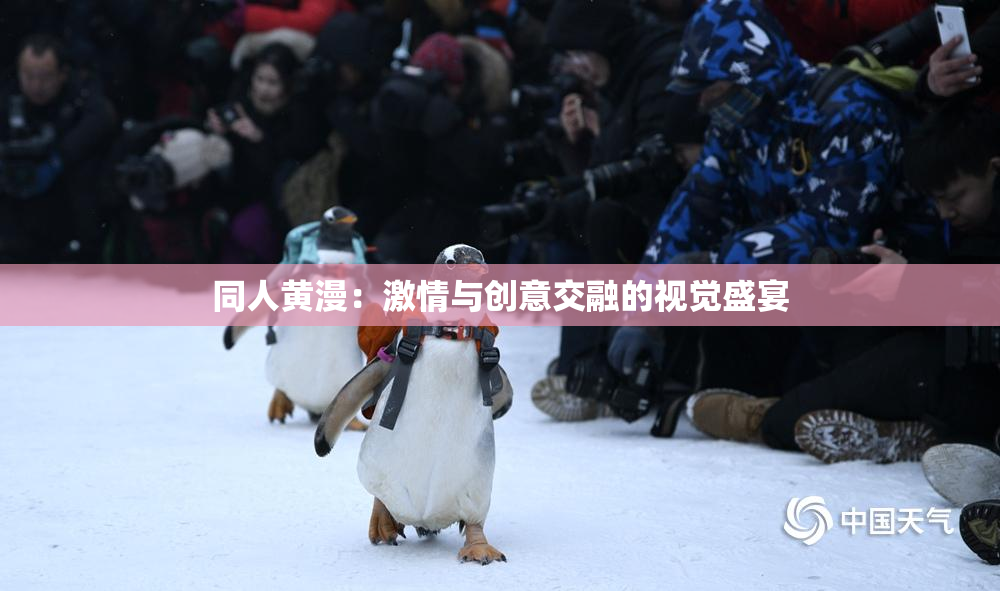 同人黄漫：激情与创意交融的视觉盛宴