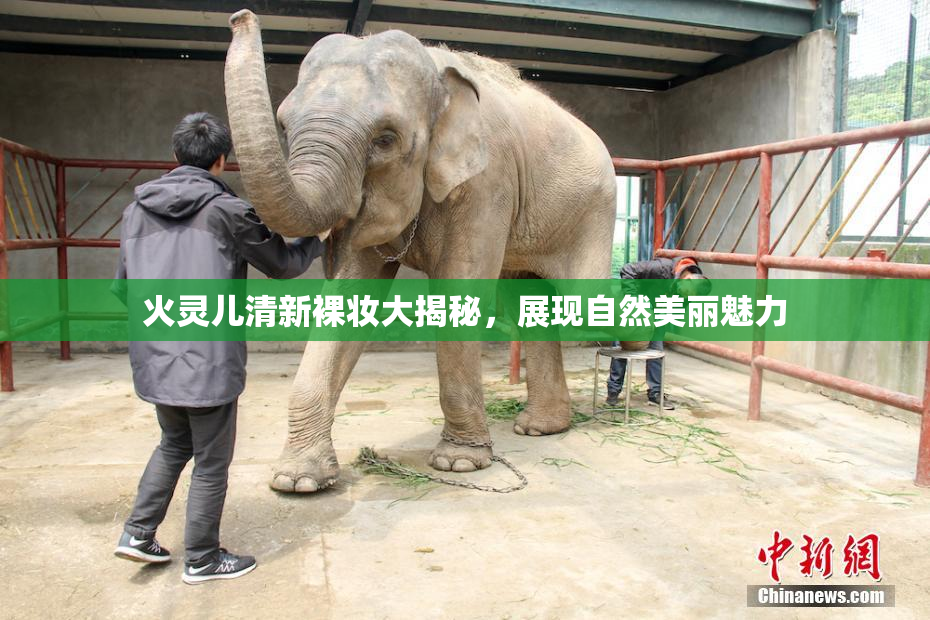 火灵儿清新裸妆大揭秘，展现自然美丽魅力