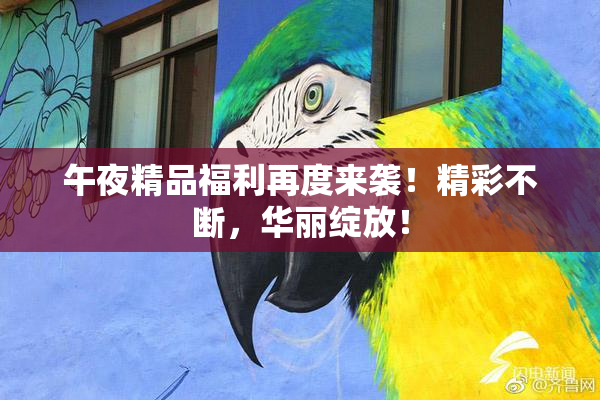 午夜精品福利再度来袭！精彩不断，华丽绽放！