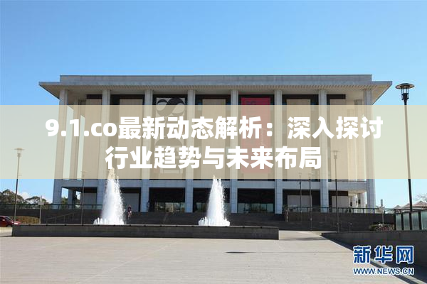 9.1.co最新动态解析：深入探讨行业趋势与未来布局