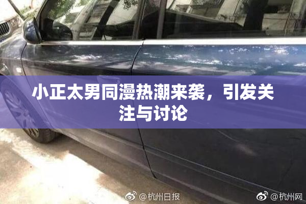 小正太男同漫热潮来袭，引发关注与讨论