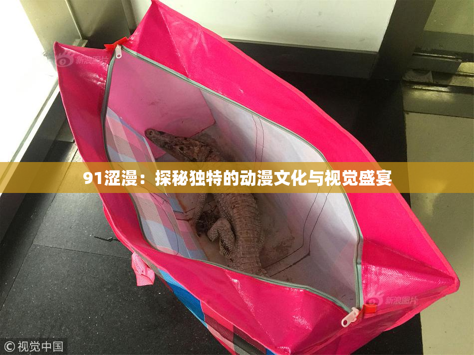 91涩漫：探秘独特的动漫文化与视觉盛宴