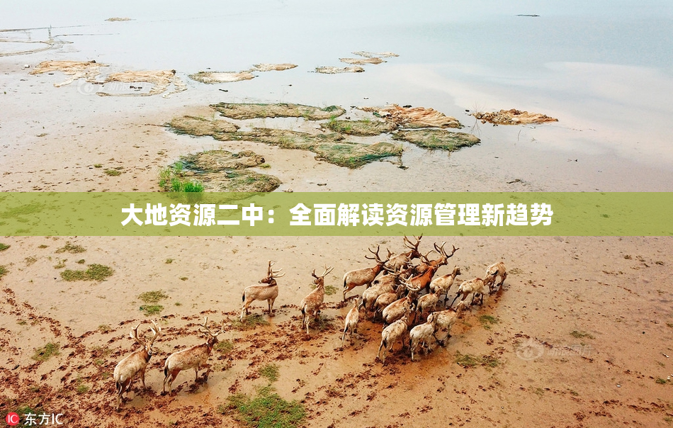 大地资源二中：全面解读资源管理新趋势