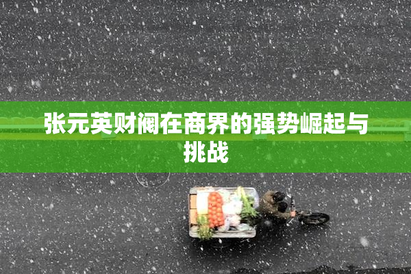 张元英财阀在商界的强势崛起与挑战