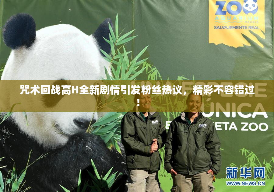 咒术回战高H全新剧情引发粉丝热议，精彩不容错过！