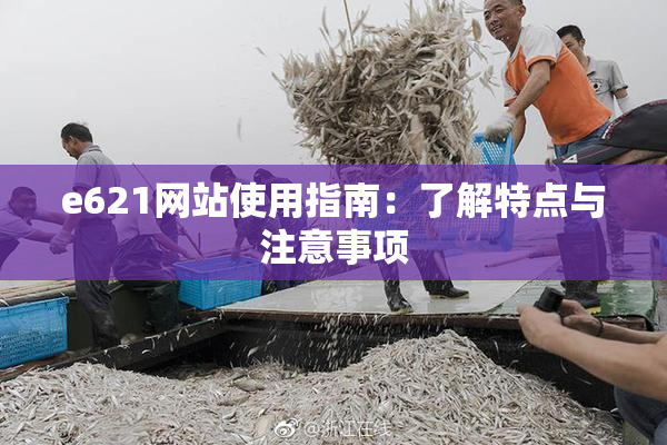 e621网站使用指南：了解特点与注意事项