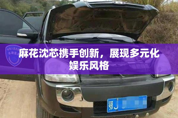 麻花沈芯携手创新，展现多元化娱乐风格