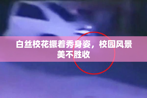 白丝校花撅着秀身姿，校园风景美不胜收