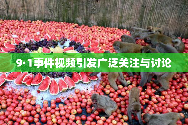 9·1事件视频引发广泛关注与讨论