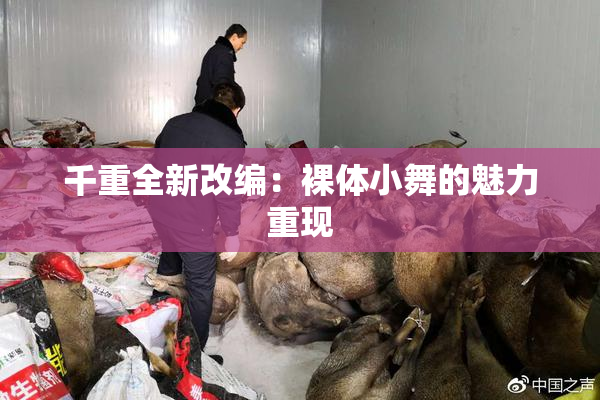千重全新改编：裸体小舞的魅力重现