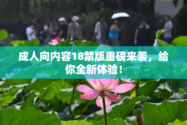 成人向内容18禁版重磅来袭，给你全新体验！