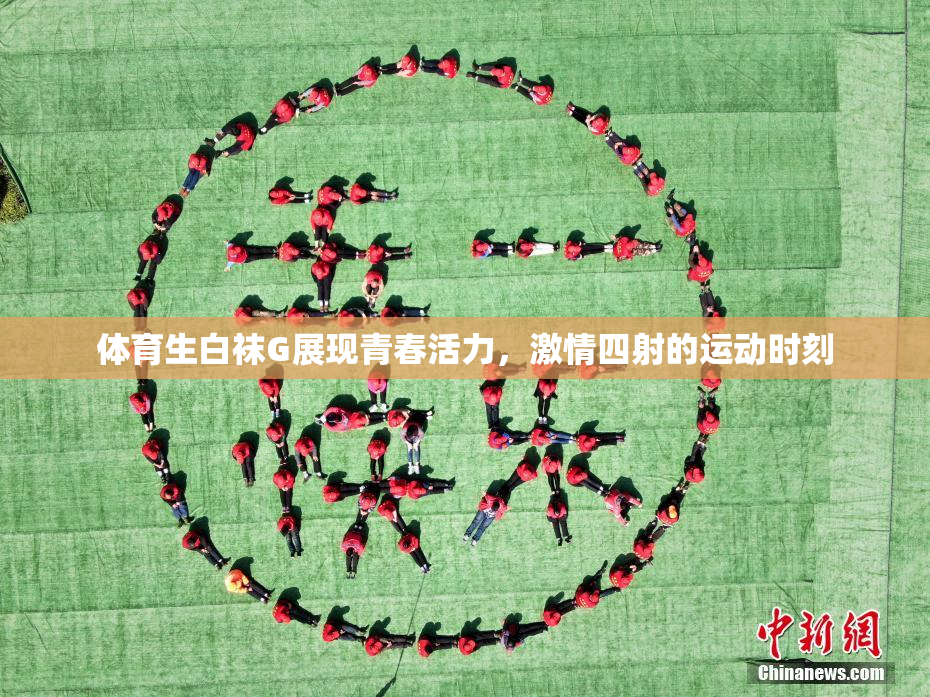 体育生白袜G展现青春活力，激情四射的运动时刻