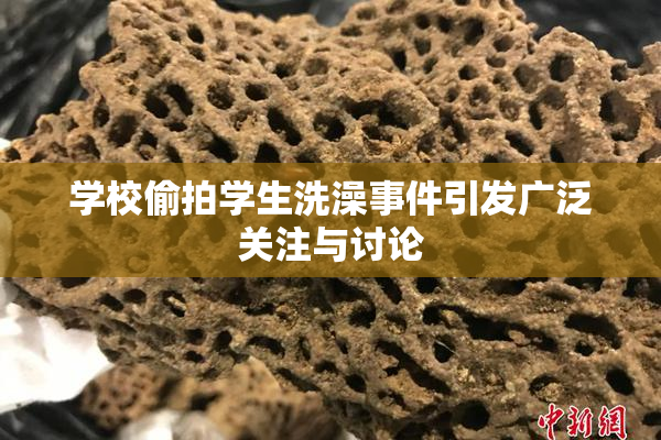 学校偷拍学生洗澡事件引发广泛关注与讨论