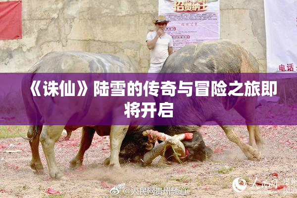 《诛仙》陆雪的传奇与冒险之旅即将开启