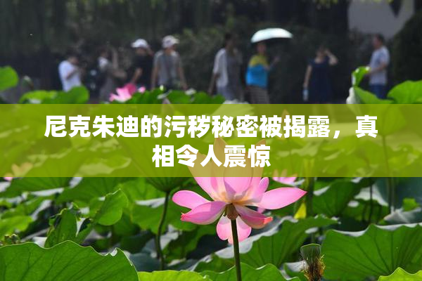 尼克朱迪的污秽秘密被揭露，真相令人震惊