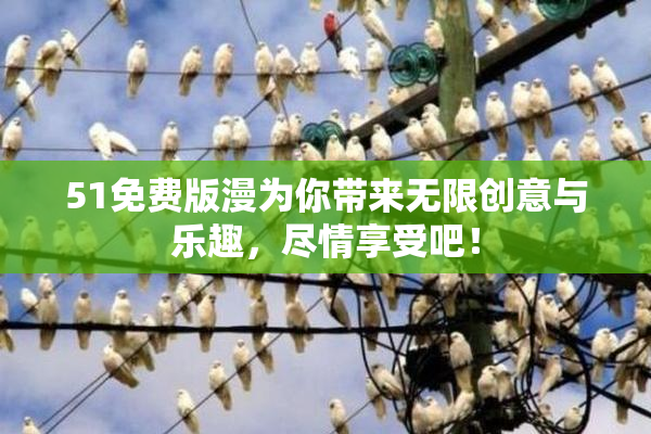 51免费版漫为你带来无限创意与乐趣，尽情享受吧！