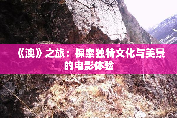 《澳》之旅：探索独特文化与美景的电影体验