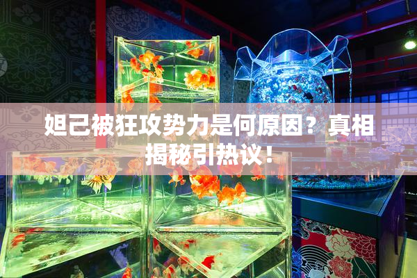 妲己被狂攻势力是何原因？真相揭秘引热议！