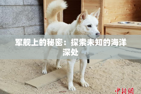 军舰上的秘密：探索未知的海洋深处