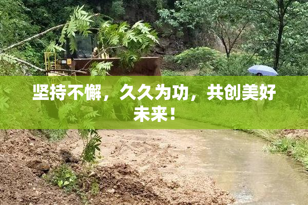 坚持不懈，久久为功，共创美好未来！