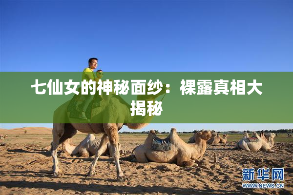 七仙女的神秘面纱：裸露真相大揭秘