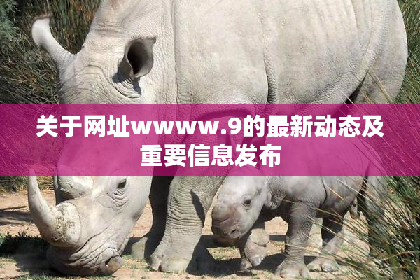 关于网址wwww.9的最新动态及重要信息发布