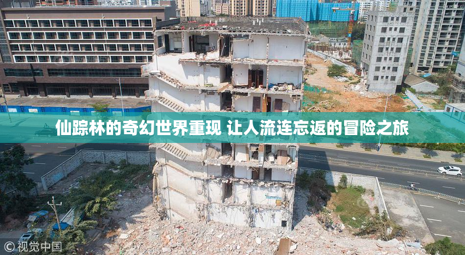仙踪林的奇幻世界重现 让人流连忘返的冒险之旅