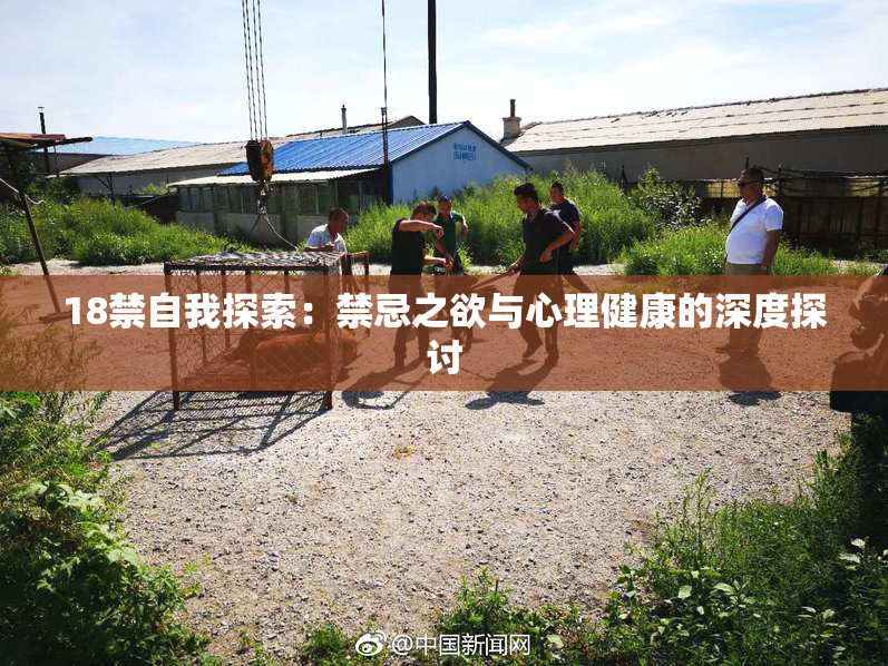 18禁自我探索：禁忌之欲与心理健康的深度探讨