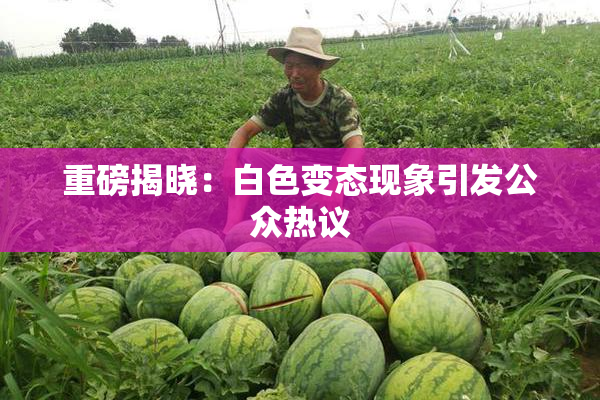 重磅揭晓：白色变态现象引发公众热议