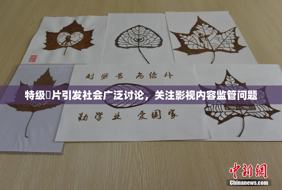 特级婬片引发社会广泛讨论，关注影视内容监管问题