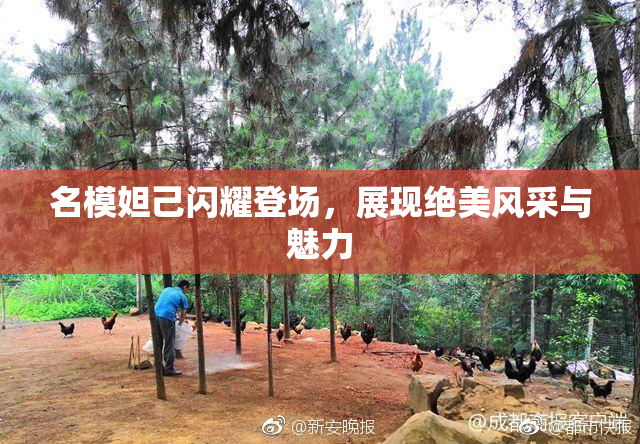 名模妲己闪耀登场，展现绝美风采与魅力