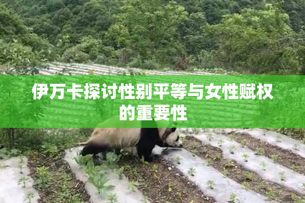 伊万卡探讨性别平等与女性赋权的重要性