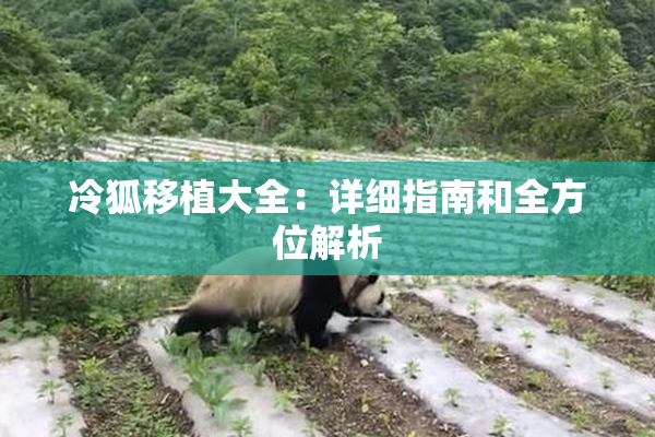 冷狐移植大全：详细指南和全方位解析