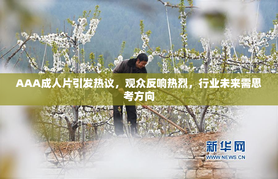 AAA成人片引发热议，观众反响热烈，行业未来需思考方向