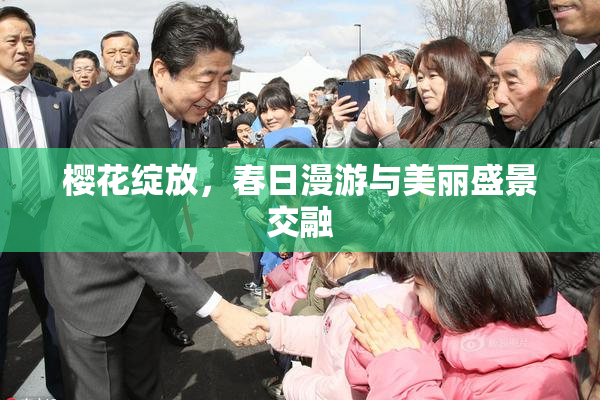 樱花绽放，春日漫游与美丽盛景交融