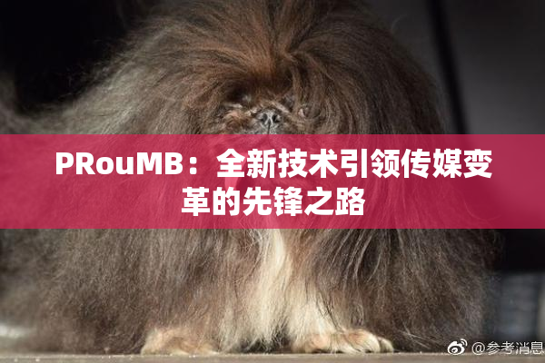 PRouMB：全新技术引领传媒变革的先锋之路