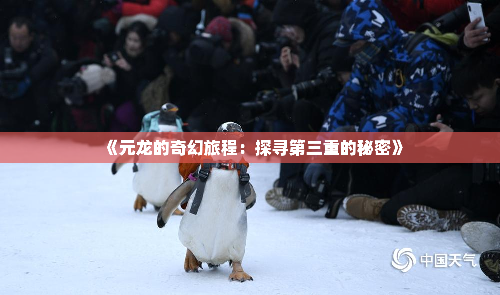 《元龙的奇幻旅程：探寻第三重的秘密》