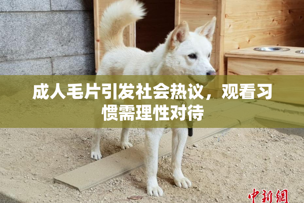 成人毛片引发社会热议，观看习惯需理性对待