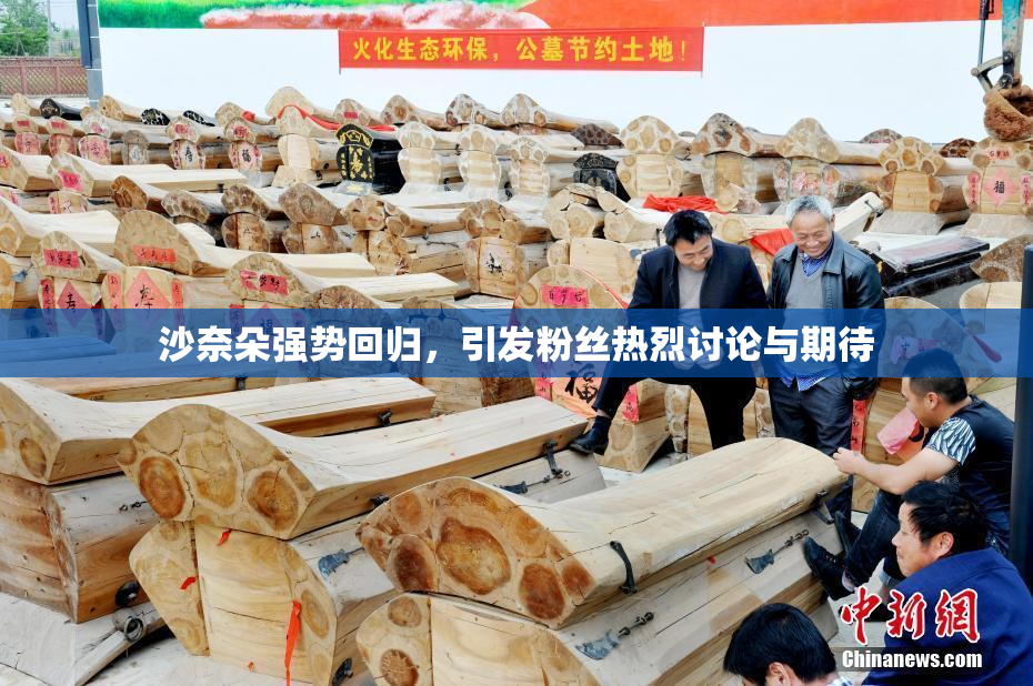 沙奈朵强势回归，引发粉丝热烈讨论与期待
