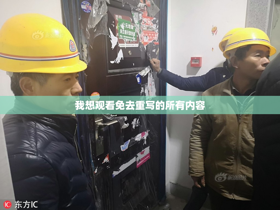我想观看免去重写的所有内容